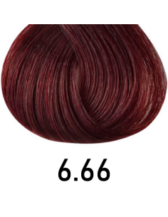 Singulaarsus - 6,66 100ml