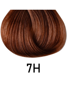 Singulaarsus - 7H 100ml