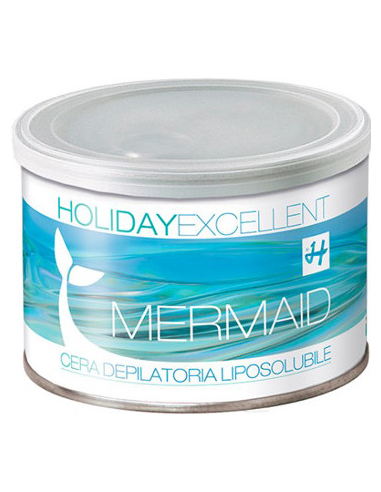 HOLIDAY EXCELLENT MERNEIINI...
