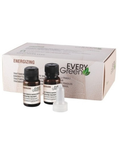 EVERYGREEN Synergistic Energy hooldus...