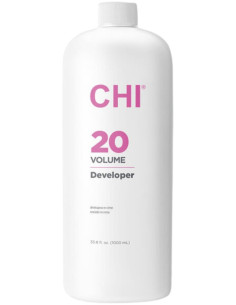 CHI 20 Developer...
