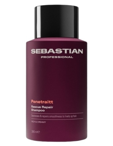 Sebastian Professional PENETRAITT...