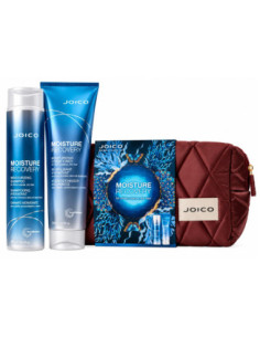 JOICO Moisture Recovery...