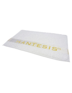Hantesis ACCESSORIES 100%...