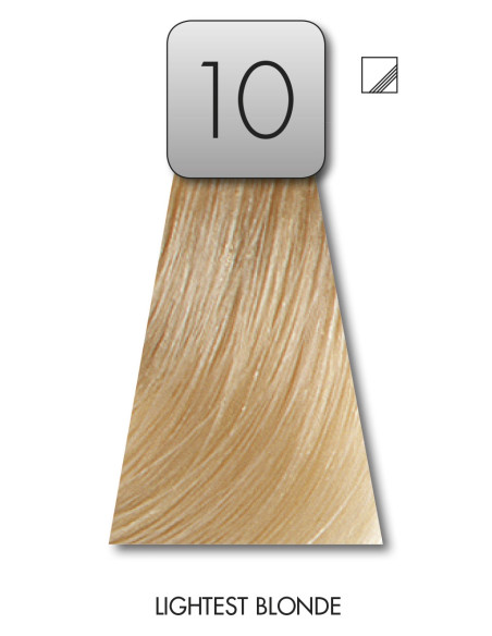 VÄRVILINE 10 TINT 60ml