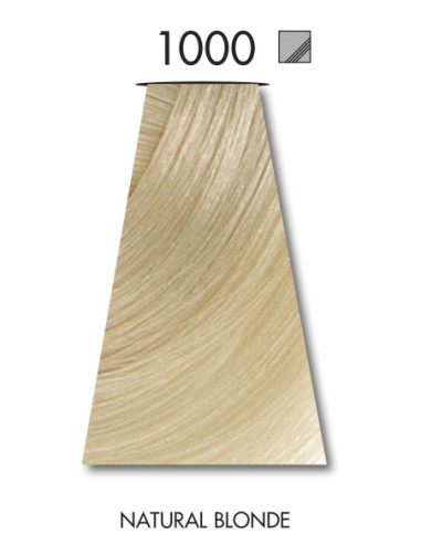 VÄRVILINE 1000 TINT 60ml