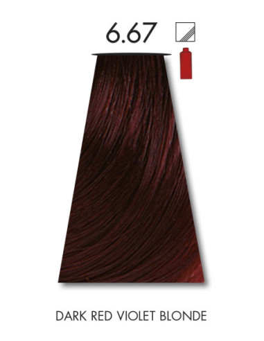 VÄRVILINE TINT 6.67 60ml