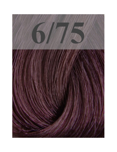 Sensido matu krāsa 60ml 6/75 Dark Brown Purple Blonde