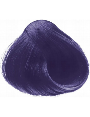 Inebrya värviline violetne värv 100ml