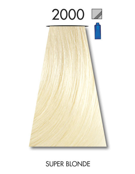 VÄRVILINE 2000 TINT 60ml