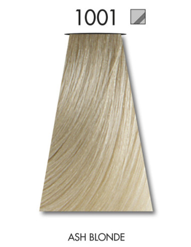 VÄRVILINE TINT 1001 60ml