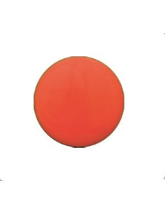 Kõrvarõngad Mini oranžid, paar