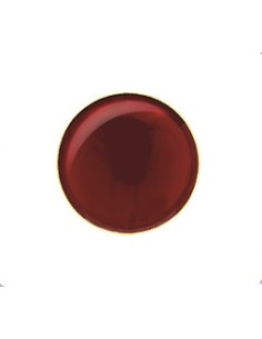 Kõrvarõngad Mini Ruby Red...