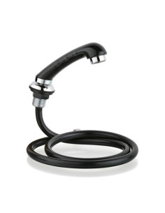 NÄITA VALGE SIGA, SEGA