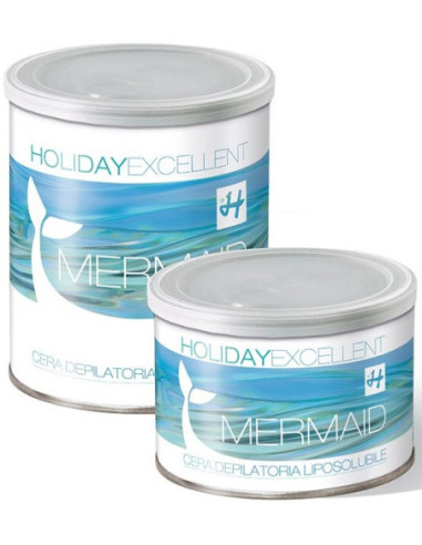 HOLIDAY EXCELLENT MERNEIINI...