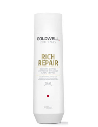 DUALSENSE'S RICH REPAIR taastav...