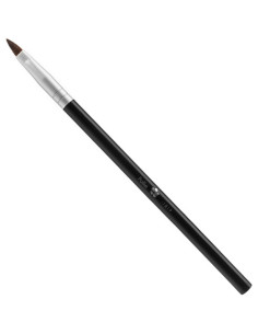 Huulepintsel, hobuse- ja...