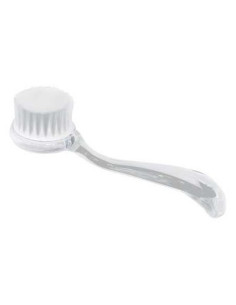 Massaažihari, läbipaistev,...