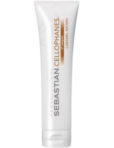 Sebastian Professional...