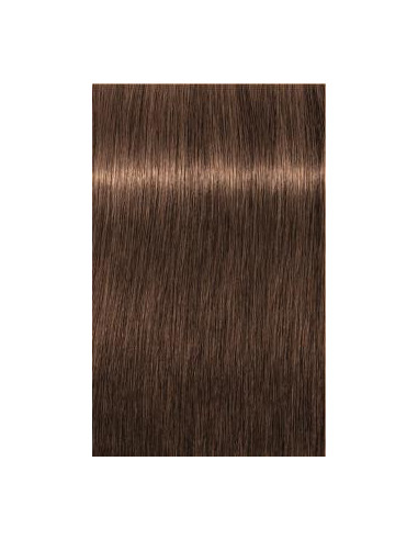 Schwarzkopf Igora Royal 6-60 Absoluut