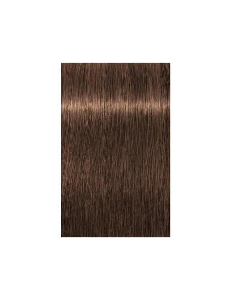 Schwarzkopf Igora Royal 6-60 Absoluut