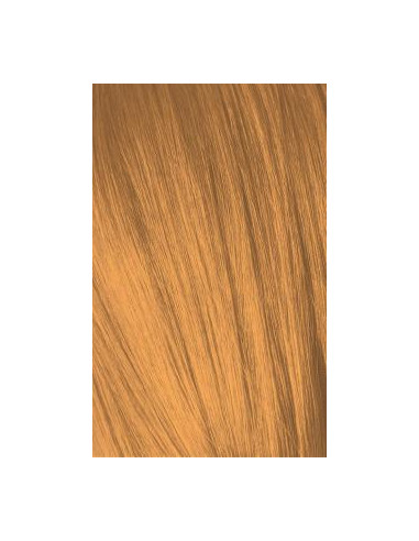 Schwarzkopf Igora Royal 0-55...