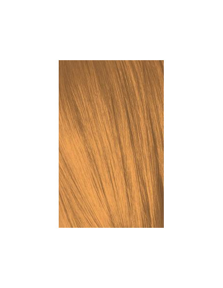 Schwarzkopf Igora Royal 0-55 Moevalgustid