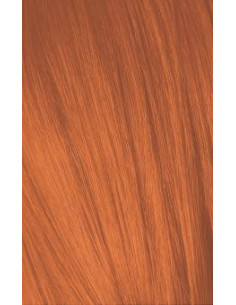 Schwarzkopf Igora Royal...