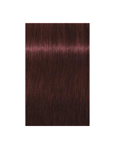 IGORA Royal 4-88 hair color 60ml