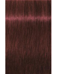 IGORA ROYAL 5-88 gaiši...