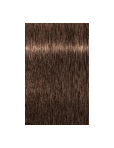 IGORA Royal 6-6 hair color 60ml