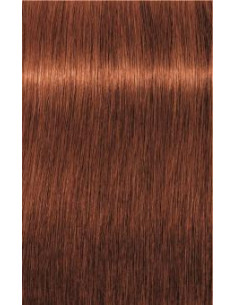 IGORA ROYAL 6-77 60ml