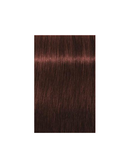 Schwarzkopf Igora Royal 5-80 Absoluut