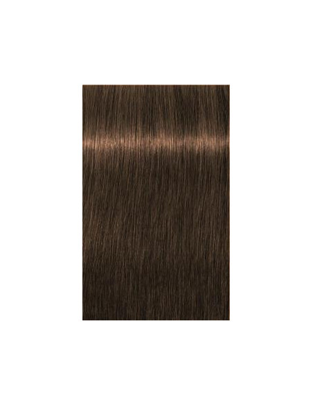 Schwarzkopf Igora Royal 6-50 Absoluut