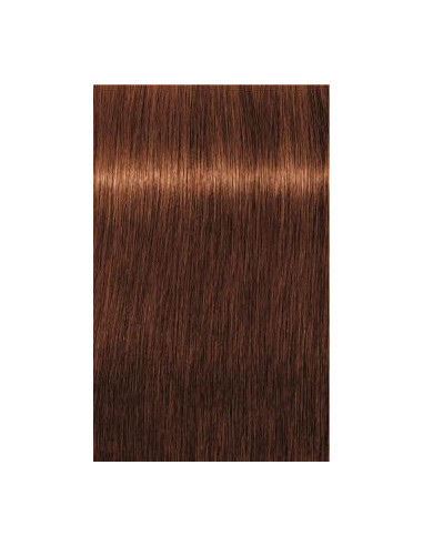 Schwarzkopf Igora Royal 6-70 Absoluut