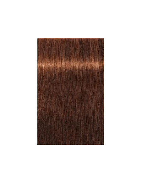 Schwarzkopf Igora Royal 6-70 Absoluut