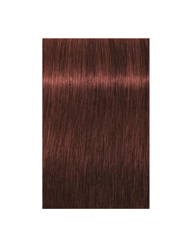 Schwarzkopf Igora Royal 6-80 Absoluut
