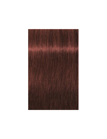Schwarzkopf Igora Royal 6-80 Absoluut