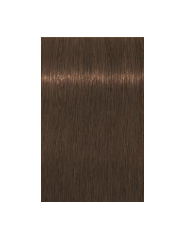 Schwarzkopf Igora Royal 7-460 Absoluutid