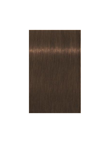 Schwarzkopf Igora Royal 7-460 Absoluutid