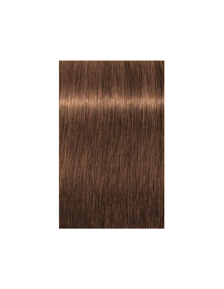 Schwarzkopf Igora Royal 7-60 Absoluutid