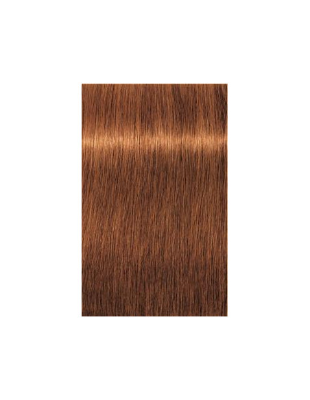 Schwarzkopf Igora Royal 7-70 Absoluut