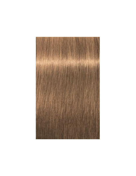 Schwarzkopf Igora Royal 8-50 Absoluut
