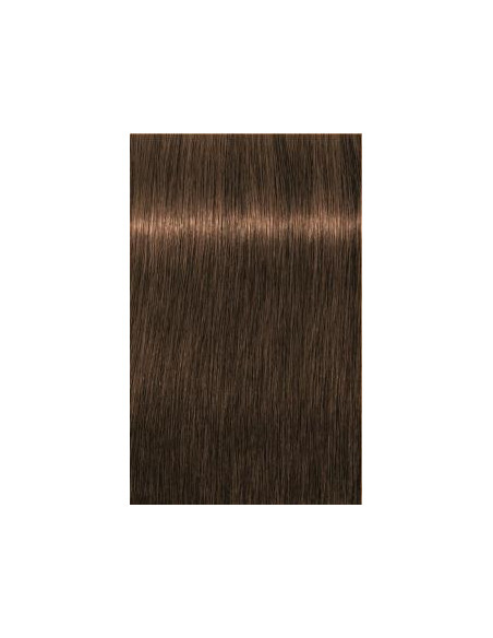 Schwarzkopf Igora Royal 8-60 Absoluutid