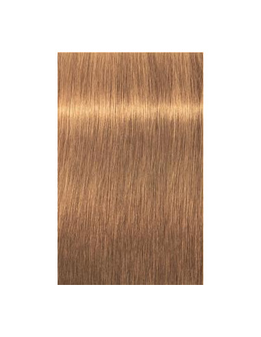 Schwarzkopf Igora Royal 9-60 Absoluutid