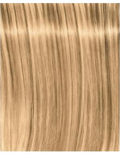 Schwarzkopf Igora Royal...