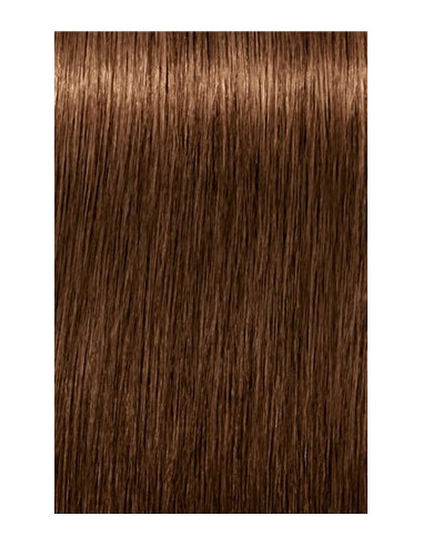 Schwarzkopf Igora Royal 6-460 Absoluutid