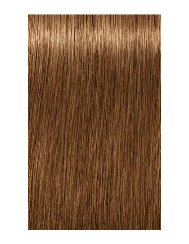 Schwarzkopf Igora Royal 7-450 Absoluutid