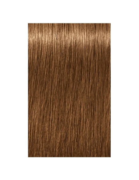 Schwarzkopf Igora Royal 7-450 Absoluutid