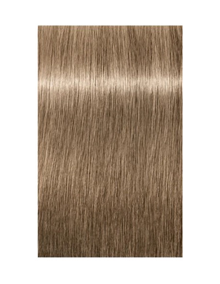 Schwarzkopf Igora Royal 8-01 Absoluutid